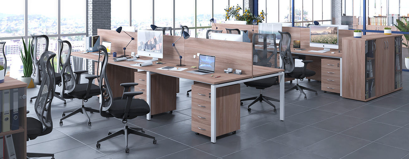 Бенч-системы Ergo